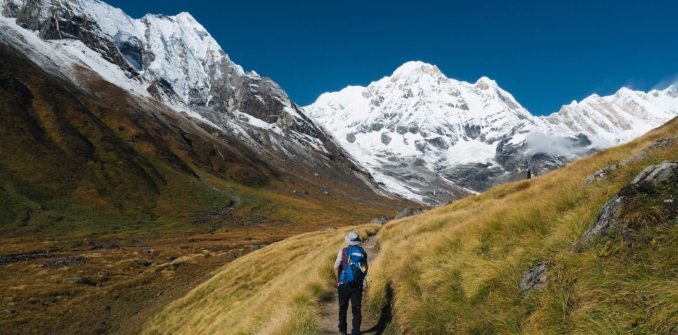 Annapurna 990x490